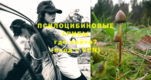 прущая мука Надым