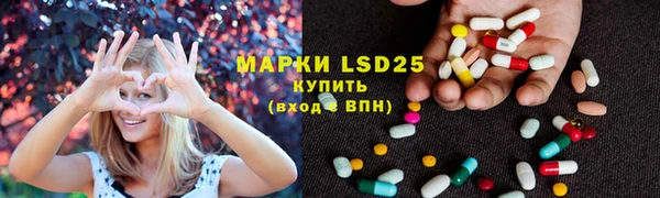 стаф Михайловск