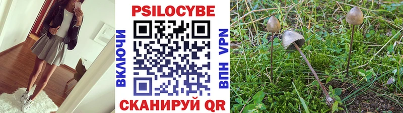 shop Telegram где купить наркотик Ртищево Псилоцибиновые грибы Psilocybine cubensis