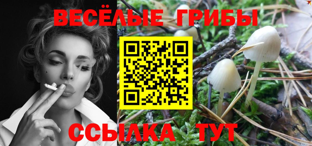 Ртищево  Псилоцибиновые грибы мицелий  Псилоцибиновые грибы ЛСД  наркошоп  Вход с VPN 
