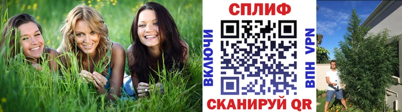 где продают   Ртищево  omg зеркало  МАРИХУАНА план 